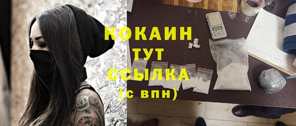 твердый Аркадак