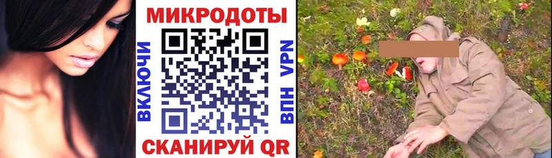 Купить где Сердобск Псилоцибиновые грибы MAGIC MUSHROOMS